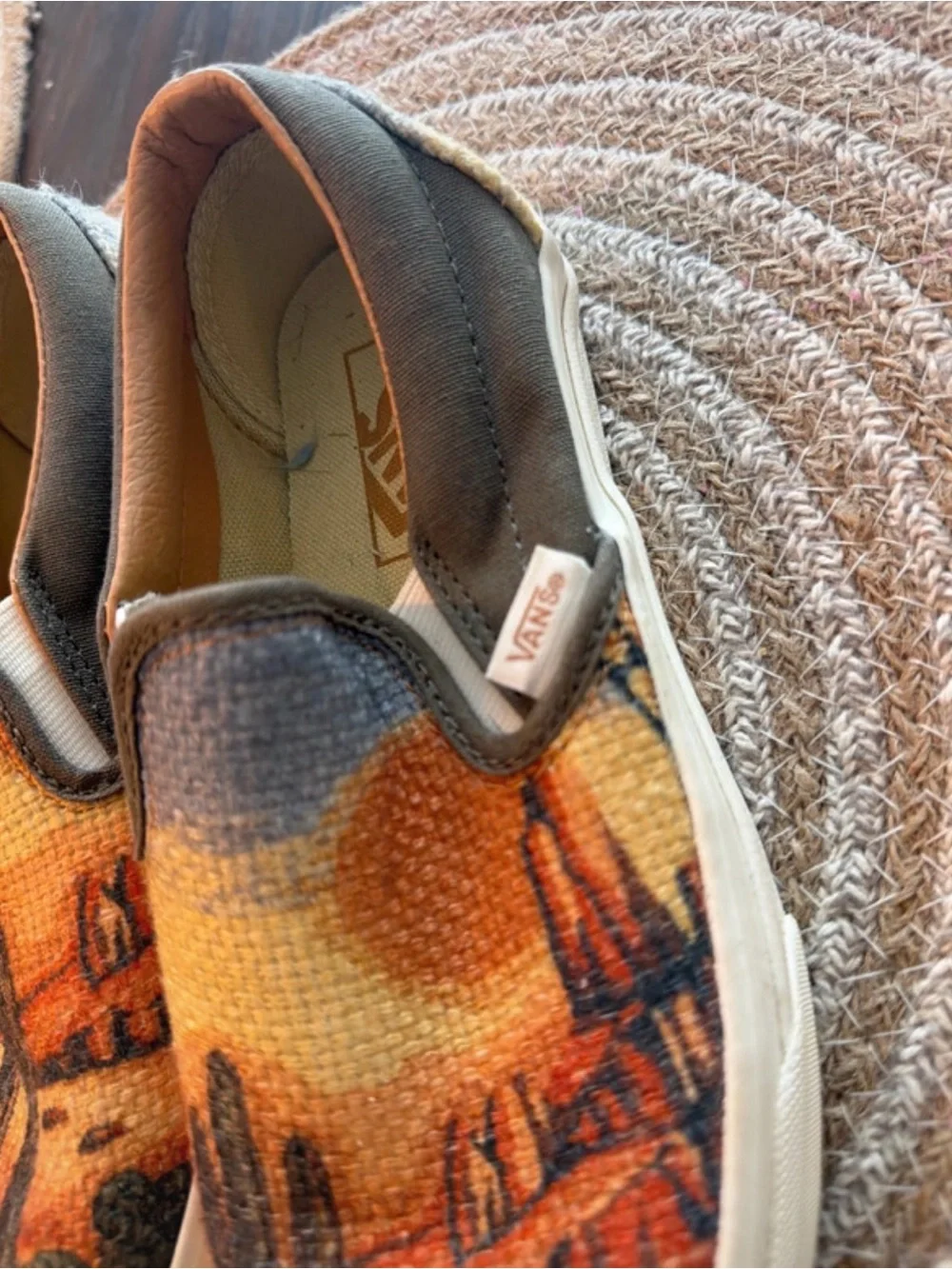 Vans Slip-On Sneakers with Desert Cactus Print in Orange and Brown